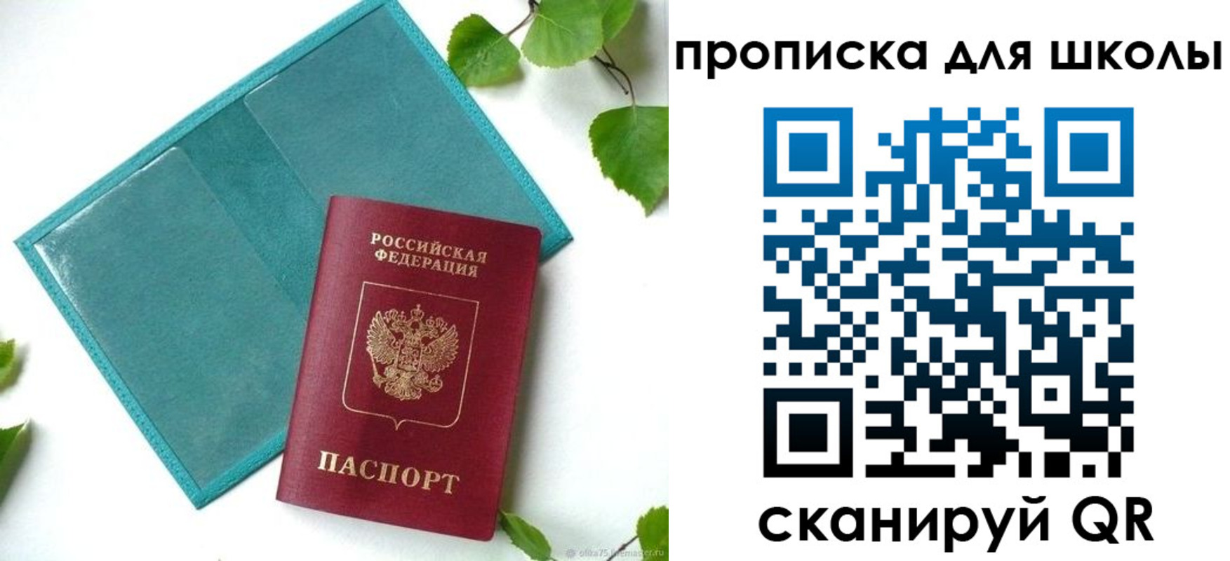 прописка в Славгороде